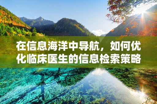 在信息海洋中导航，如何优化临床医生的信息检索策略？