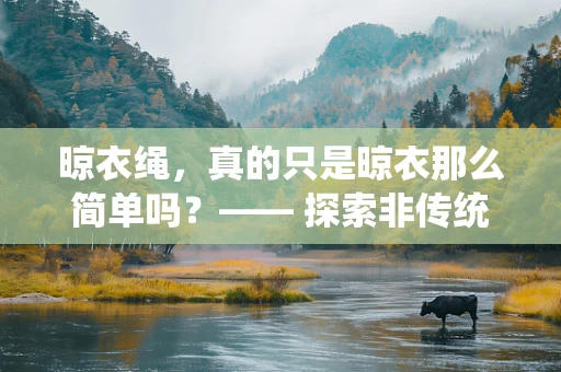 晾衣绳，真的只是晾衣那么简单吗？—— 探索非传统医疗用途的奇思妙想