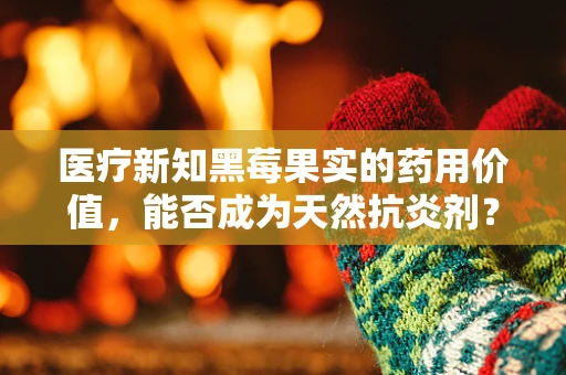 医疗新知黑莓果实的药用价值，能否成为天然抗炎剂？
