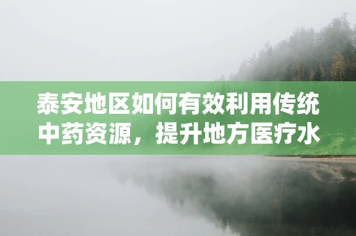 泰安地区如何有效利用传统中药资源，提升地方医疗水平？