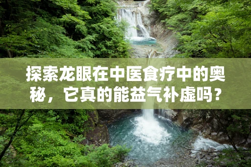 探索龙眼在中医食疗中的奥秘，它真的能益气补虚吗？