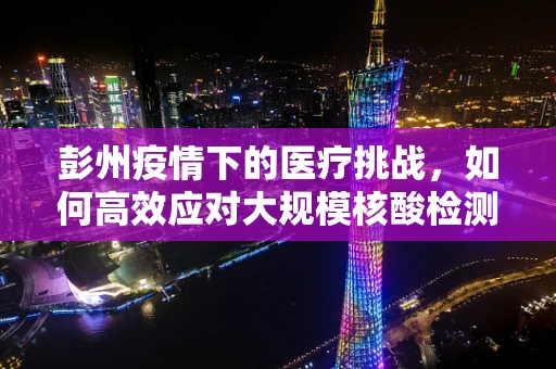 彭州疫情下的医疗挑战，如何高效应对大规模核酸检测需求？