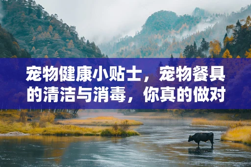 宠物健康小贴士，宠物餐具的清洁与消毒，你真的做对了吗？