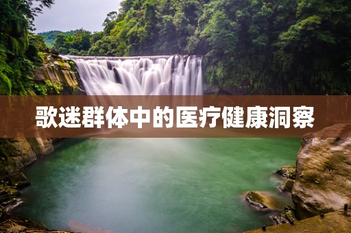 歌迷群体中的医疗健康洞察