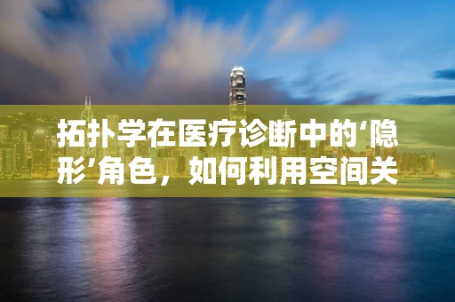 拓扑学在医疗诊断中的‘隐形’角色，如何利用空间关系优化疾病检测？