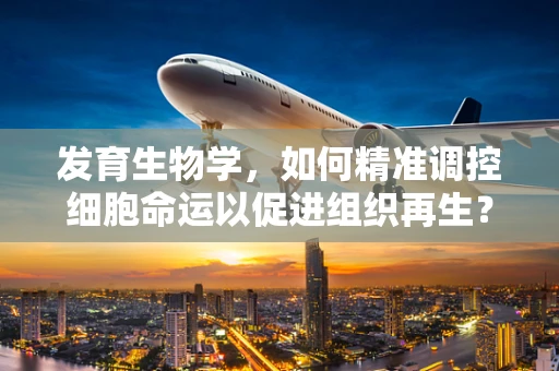 发育生物学，如何精准调控细胞命运以促进组织再生？