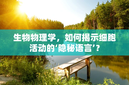 生物物理学，如何揭示细胞活动的‘隐秘语言’？