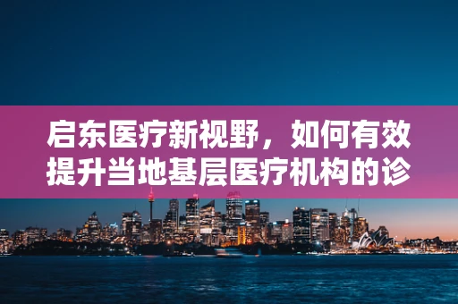 启东医疗新视野，如何有效提升当地基层医疗机构的诊疗能力？