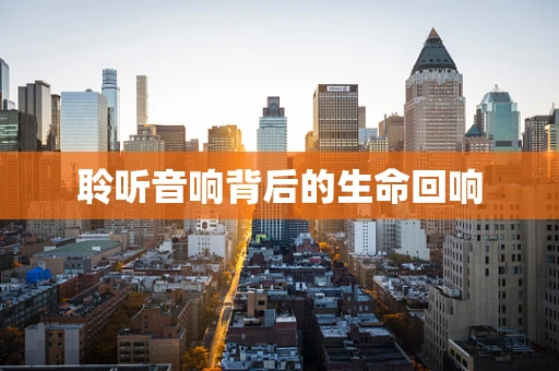聆听音响背后的生命回响