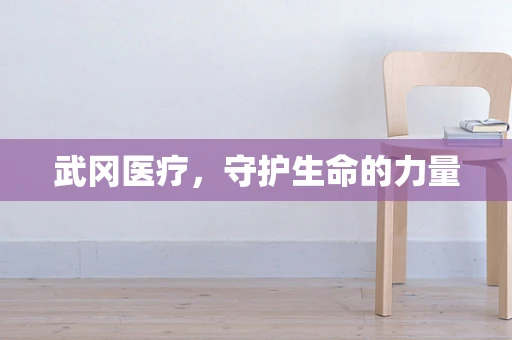 武冈医疗，守护生命的力量