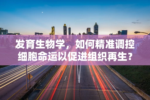 发育生物学，如何精准调控细胞命运以促进组织再生？
