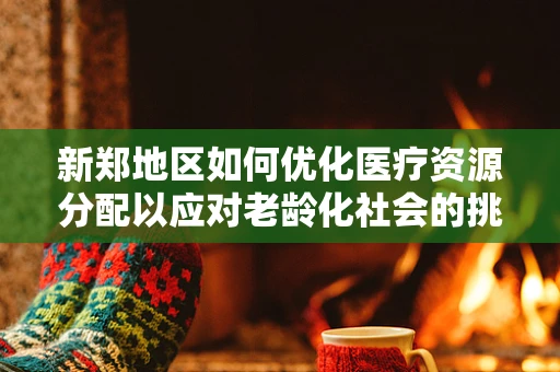 新郑地区如何优化医疗资源分配以应对老龄化社会的挑战？