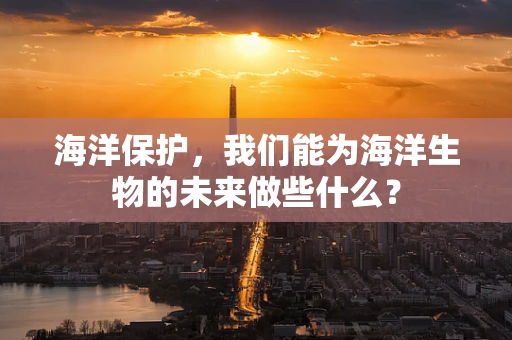海洋保护，我们能为海洋生物的未来做些什么？