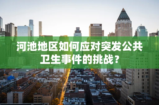 河池地区如何应对突发公共卫生事件的挑战？