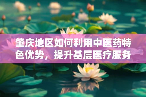 肇庆地区如何利用中医药特色优势，提升基层医疗服务质量？