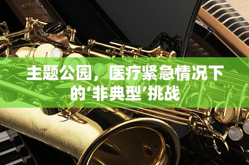 主题公园，医疗紧急情况下的‘非典型’挑战