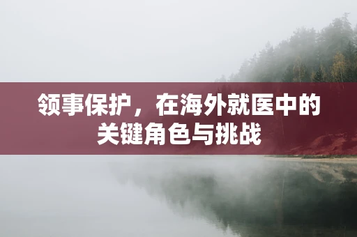 领事保护，在海外就医中的关键角色与挑战