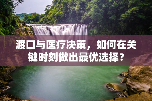 渡口与医疗决策，如何在关键时刻做出最优选择？