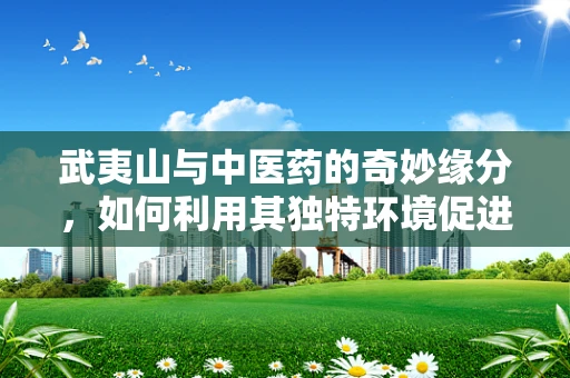 武夷山与中医药的奇妙缘分，如何利用其独特环境促进药材生长？