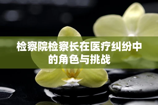 检察院检察长在医疗纠纷中的角色与挑战