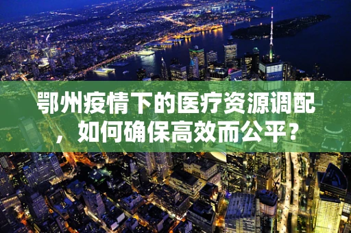鄂州疫情下的医疗资源调配，如何确保高效而公平？