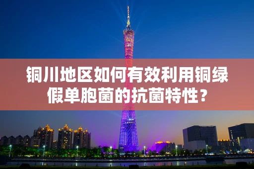 铜川地区如何有效利用铜绿假单胞菌的抗菌特性？