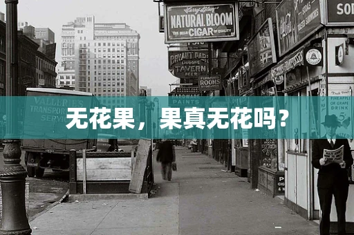 无花果，果真无花吗？