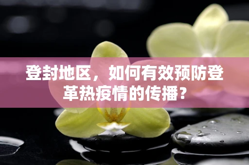登封地区，如何有效预防登革热疫情的传播？