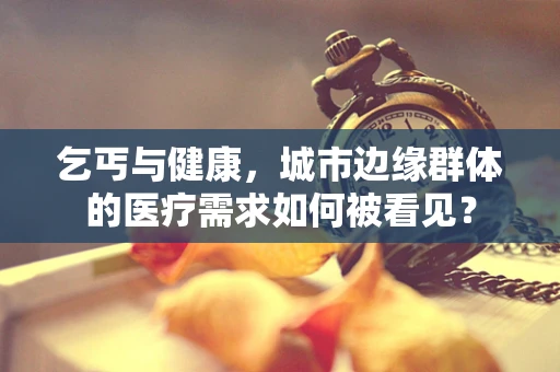 乞丐与健康，城市边缘群体的医疗需求如何被看见？