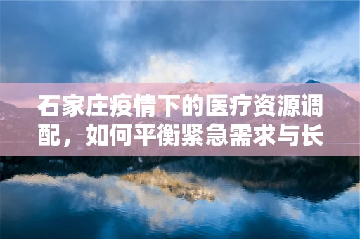 石家庄疫情下的医疗资源调配，如何平衡紧急需求与长期规划？