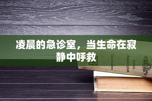 凌晨的急诊室，当生命在寂静中呼救