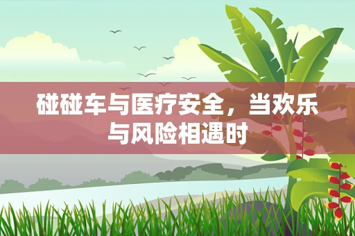 碰碰车与医疗安全，当欢乐与风险相遇时