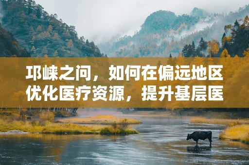 邛崃之问，如何在偏远地区优化医疗资源，提升基层医疗服务质量？