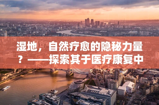 湿地，自然疗愈的隐秘力量？——探索其于医疗康复中的潜在价值