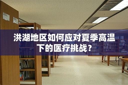 洪湖地区如何应对夏季高温下的医疗挑战？