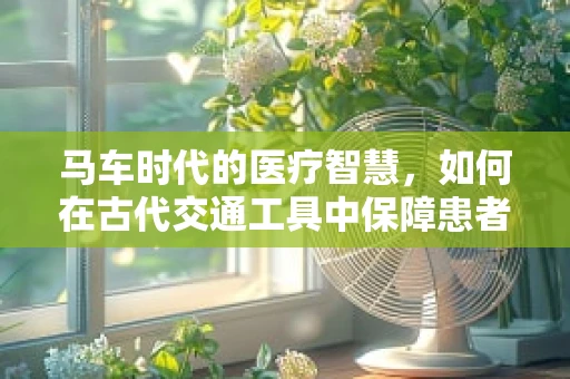 马车时代的医疗智慧，如何在古代交通工具中保障患者安全？