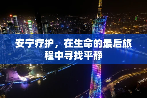 安宁疗护，在生命的最后旅程中寻找平静