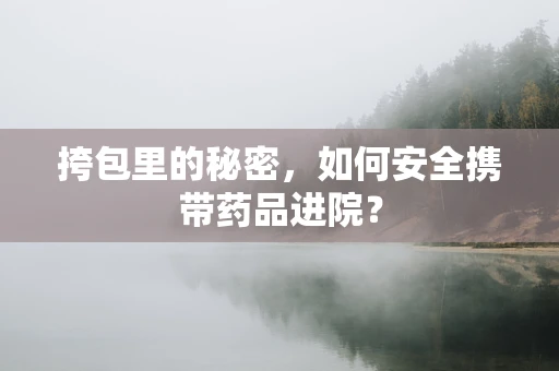 挎包里的秘密，如何安全携带药品进院？