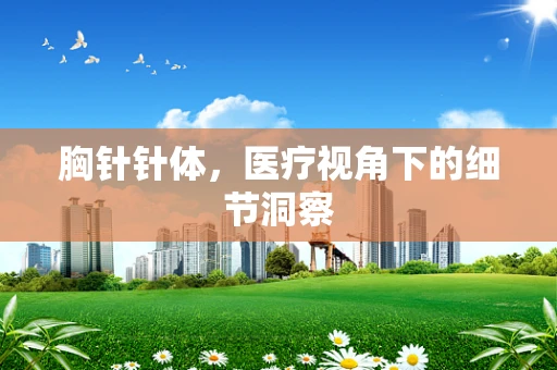 胸针针体，医疗视角下的细节洞察