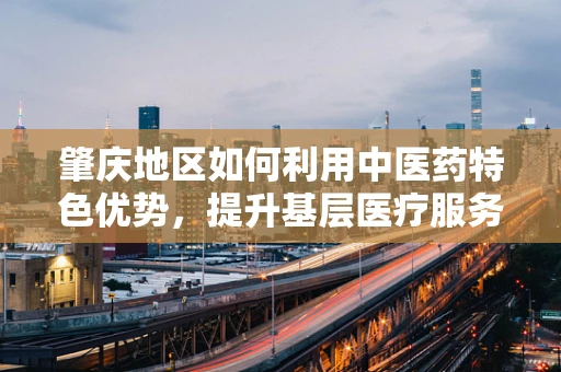 肇庆地区如何利用中医药特色优势，提升基层医疗服务质量？