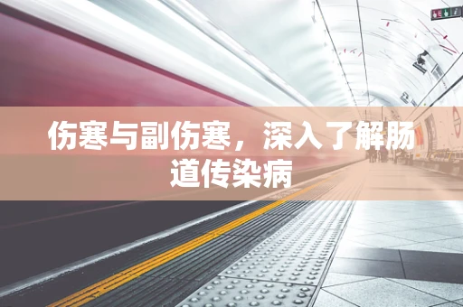 伤寒与副伤寒，深入了解肠道传染病