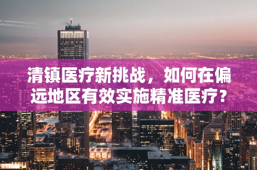 清镇医疗新挑战，如何在偏远地区有效实施精准医疗？
