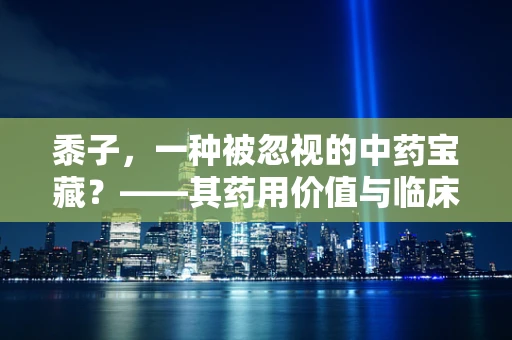 黍子，一种被忽视的中药宝藏？——其药用价值与临床应用探析