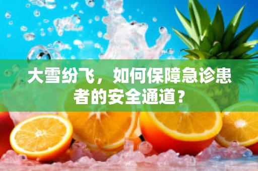 大雪纷飞，如何保障急诊患者的安全通道？