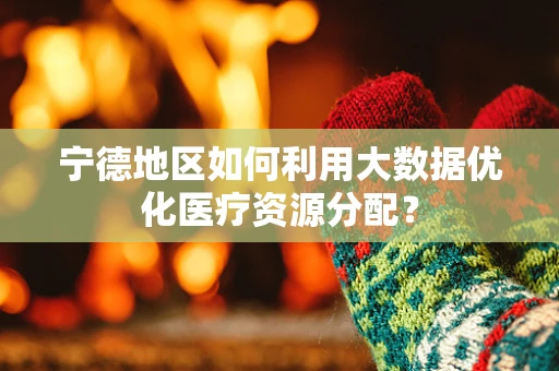 宁德地区如何利用大数据优化医疗资源分配？