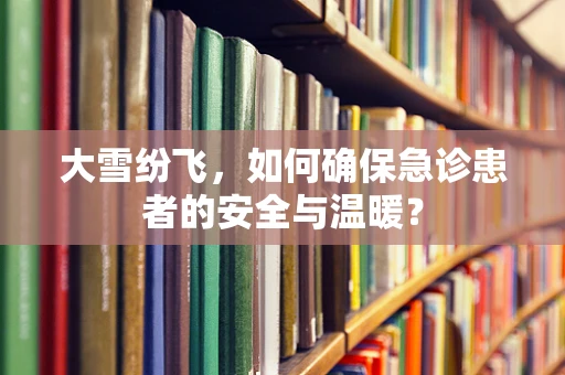 大雪纷飞，如何确保急诊患者的安全与温暖？