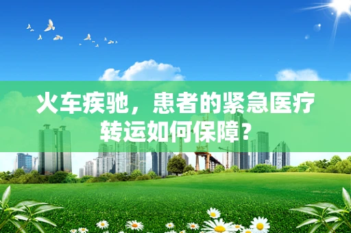 火车疾驰，患者的紧急医疗转运如何保障？