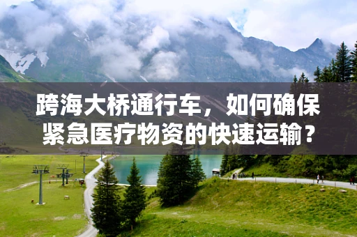 跨海大桥通行车，如何确保紧急医疗物资的快速运输？