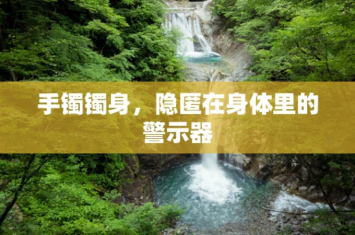 手镯镯身，隐匿在身体里的警示器