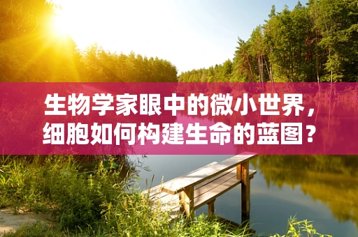 生物学家眼中的微小世界，细胞如何构建生命的蓝图？